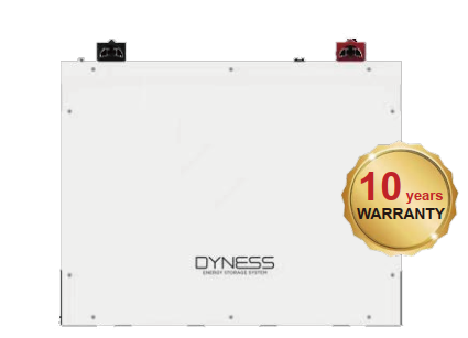 Dyness A48100 Lithium Battery